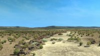 New Mexico ats