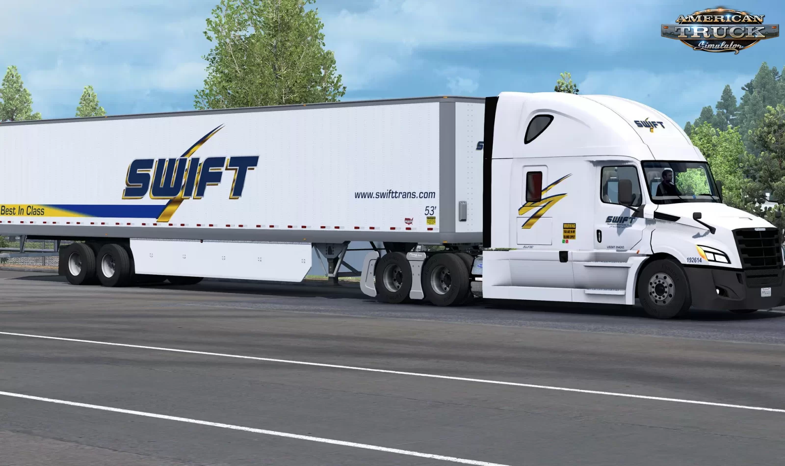 SCS Software 53ft Trailer Skin Pack v1.2.5 (1.40.x) for ATS