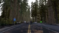 New Mexico & Oregon Viewpoints in ATS