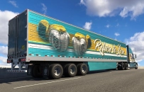 Sports Paint Jobs Pack for ATS