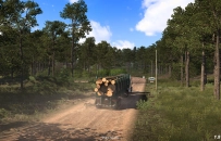 ATS 1.51 Update: Texas Vegetation Update
