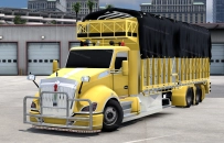 Kenworth T680 NextGen Custom Mexa for ATS