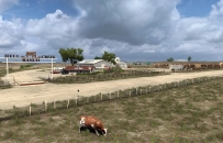 Expansion Map By xRECONLOBSTERx for ATS