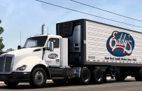 Company AI Traffic Skins for ATS