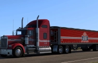Company AI Traffic Skins for ATS