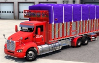 Kenworth T660 2021 By Shaneke for ATS